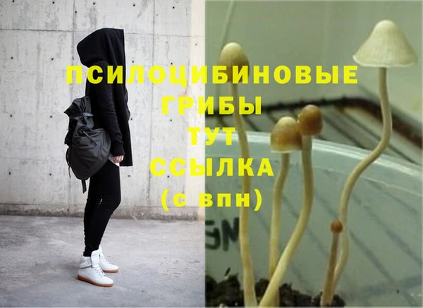 метадон Беломорск